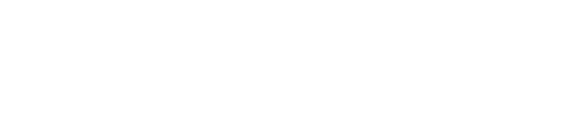 FleetMaster