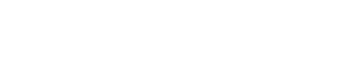 Manheim Inspection Services