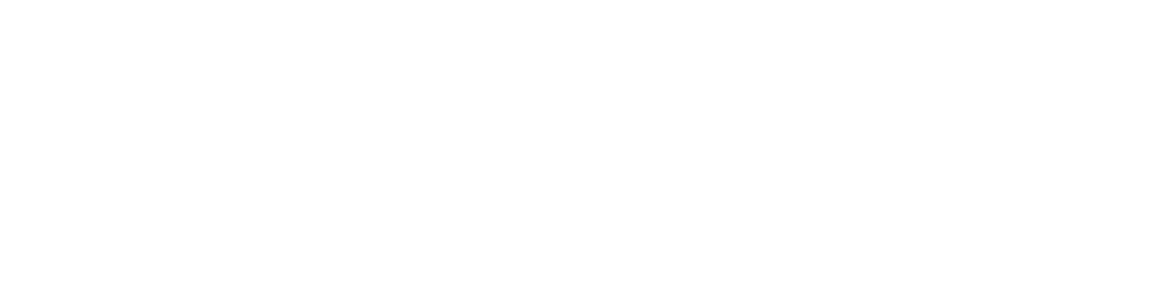 Manheim Auction Services